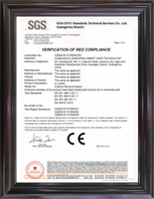 sgs1