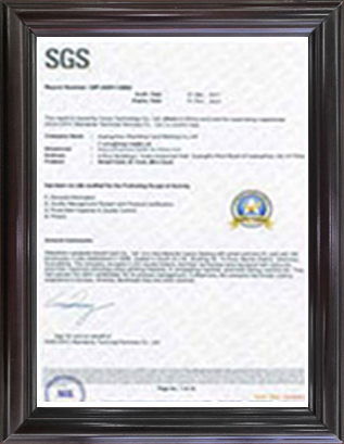 sgs2